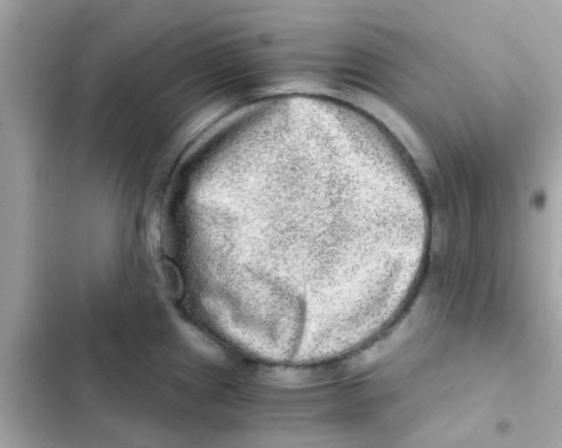 X0000103161241200809192046