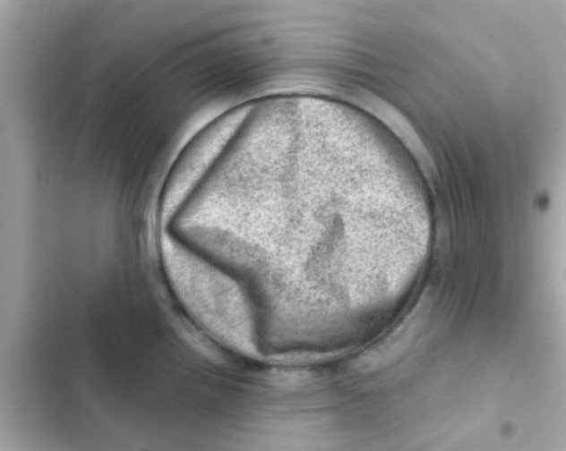 X0000103161242200809192046