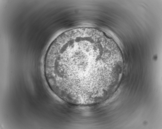 X0000103161243200809192046