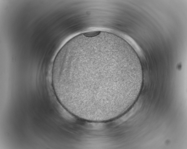 X0000103161244200809192046