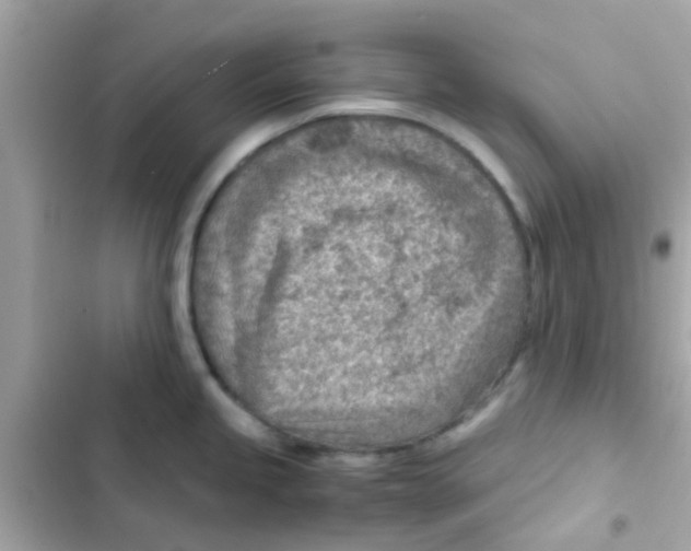 X0000103161245200809192046