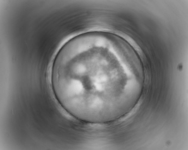 X0000103161246200809192046