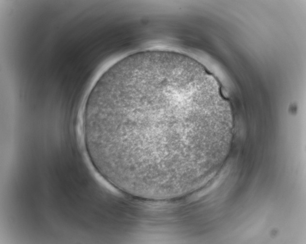 X0000103161247200809192046