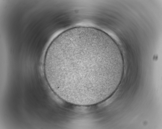 X0000103161248200809192046