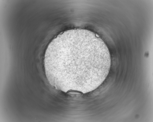 X0000103161249200809192045