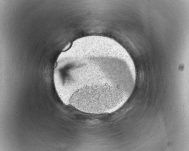 X0000103161250200809192045