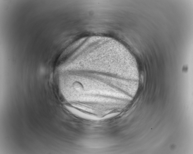 X0000103161251200809192045