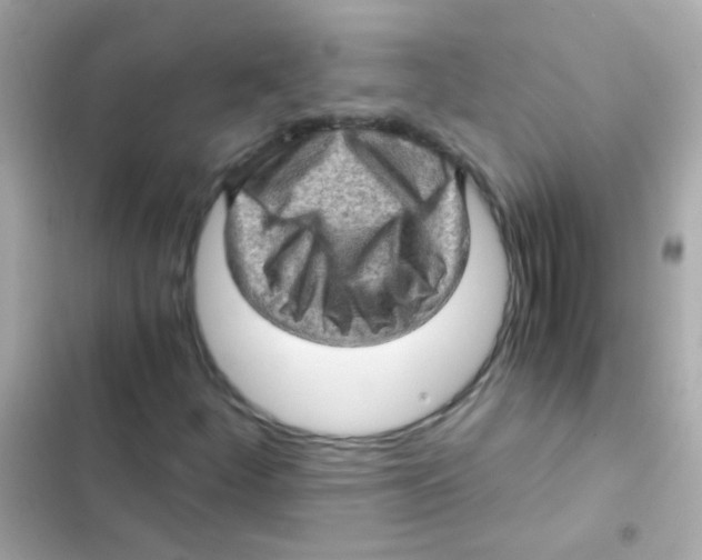 X0000103161252200809192045