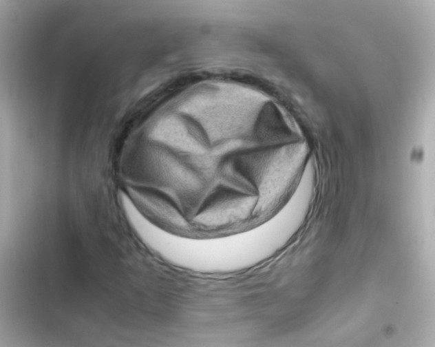 X0000103161253200809192045
