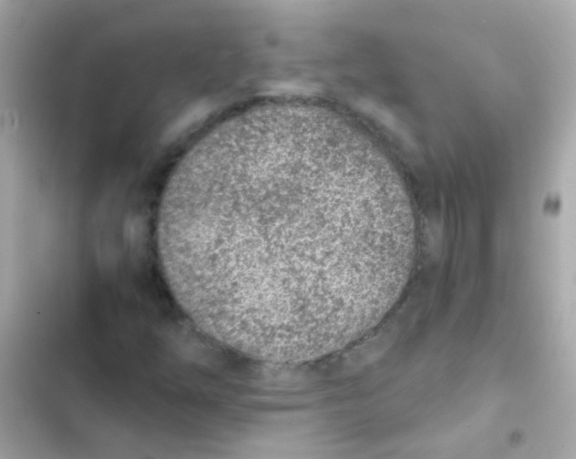 X0000103161254200809192045