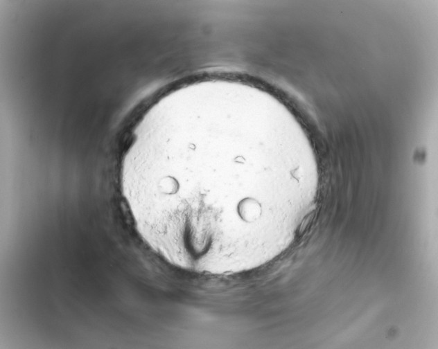 X0000103161255200809192045