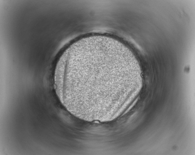 X0000103161256200809192045