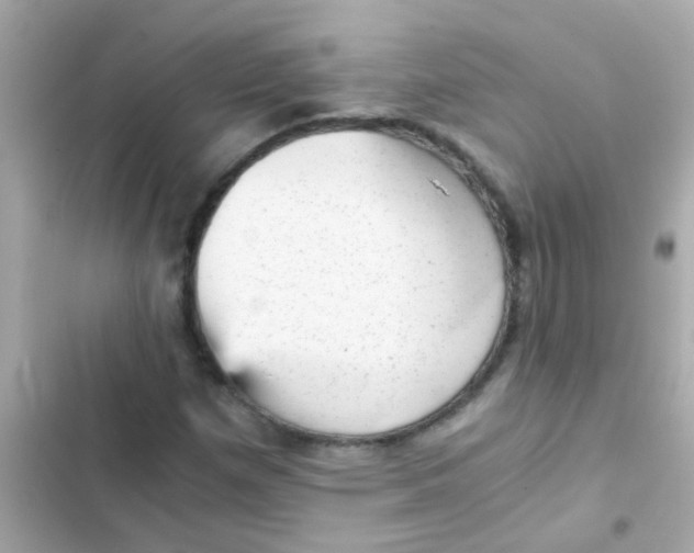 X0000103161257200809192045