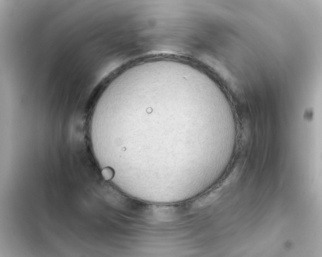X0000103161258200809192045