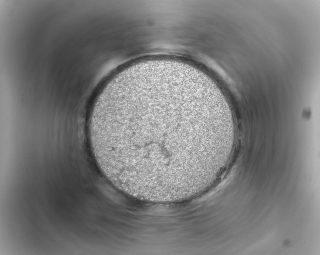 X0000103161259200809192045