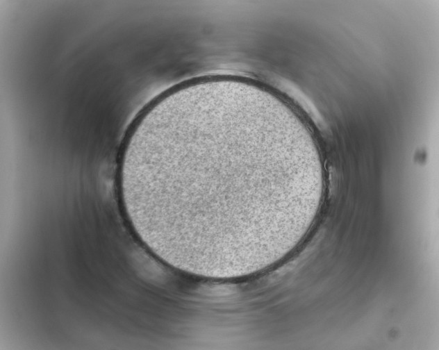 X0000103161260200809192045
