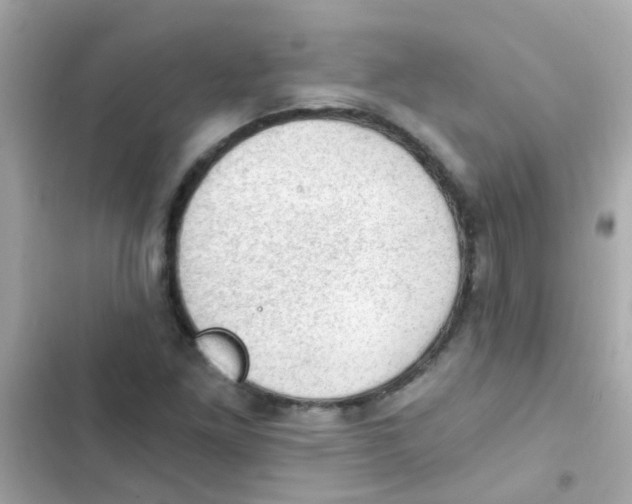 X0000103161261200809192045