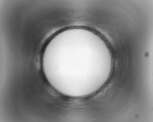 X0000103161262200809192045