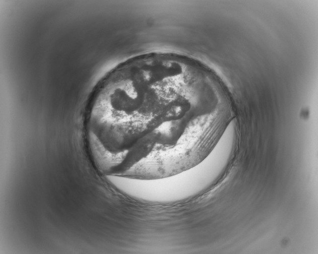 X0000103161263200809192045