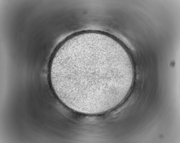 X0000103161264200809192045