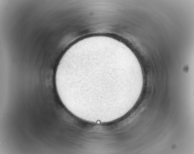 X0000103161265200809192045