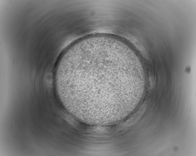 X0000103161266200809192045