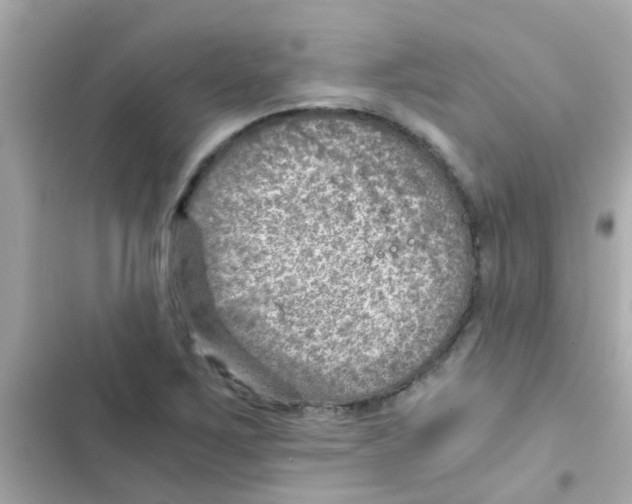 X0000103161267200809192045