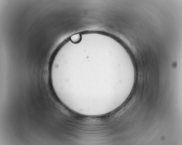X0000103161270200809192045