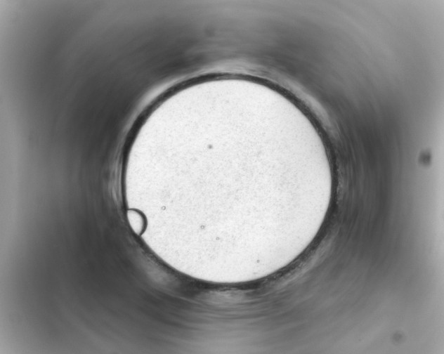 X0000103161272200809192045