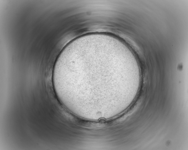 X0000103161273200809192045