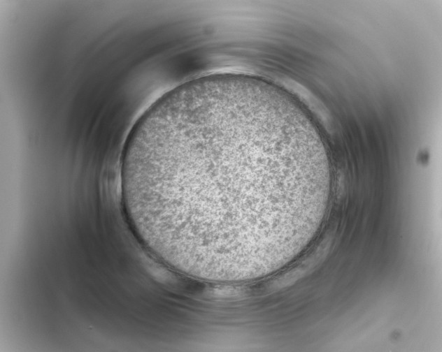 X0000103161274200809192045