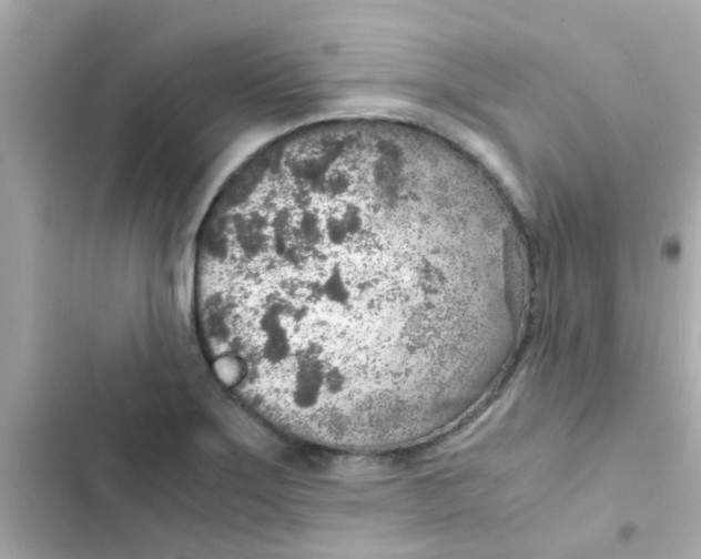 X0000103161275200809192045