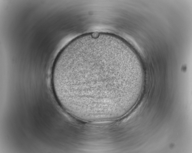 X0000103161277200809192045