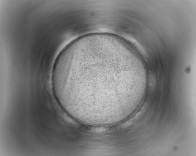 X0000103161278200809192045