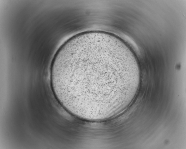 X0000103161280200809192045
