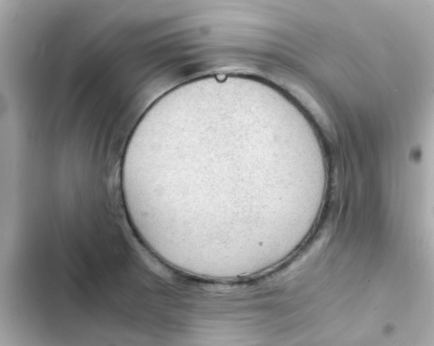 X0000103161281200809192045