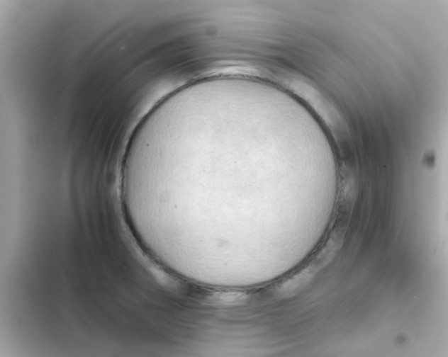 X0000103161282200809192045