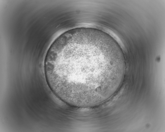 X0000103161283200809192045