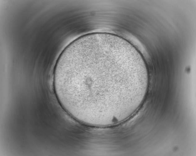 X0000103161284200809192045