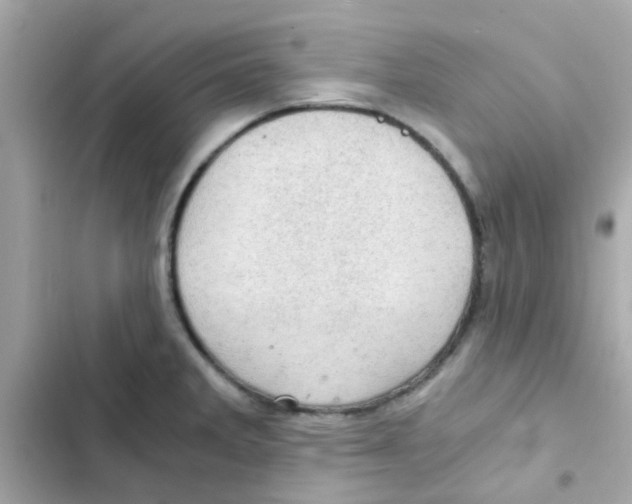 X0000103161285200809192045