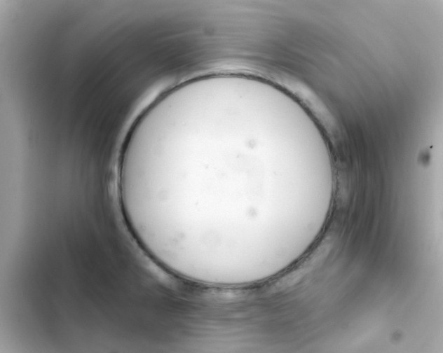X0000103161286200809192045
