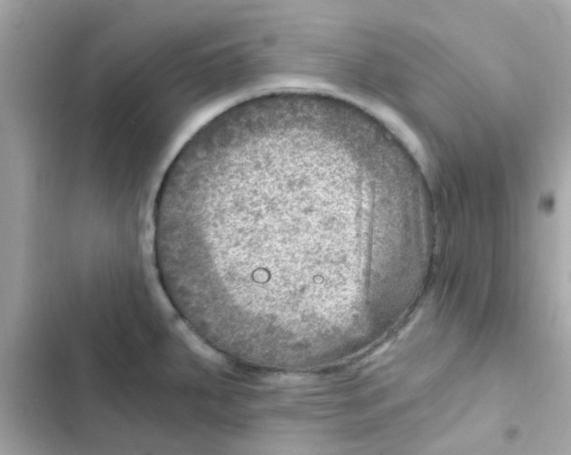 X0000103161287200809192045
