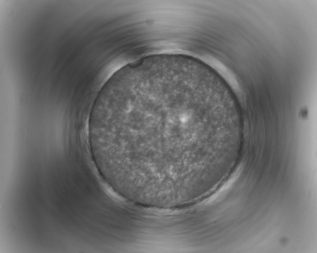 X0000103161289200809192045