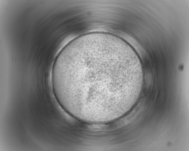 X0000103161290200809192045