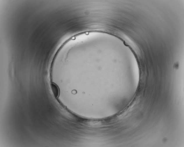 X0000103161291200809192045