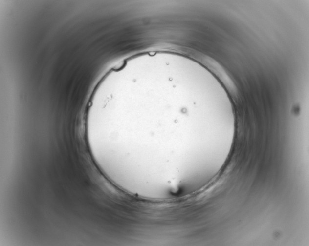 X0000103161292200809192045