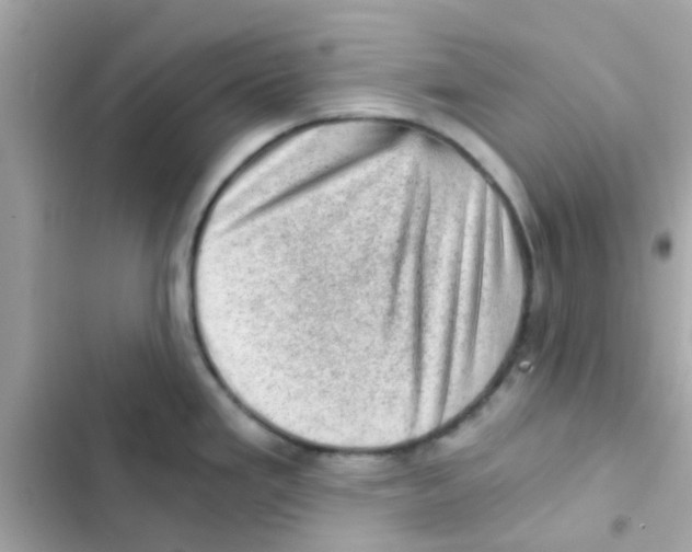 X0000103161293200809192045