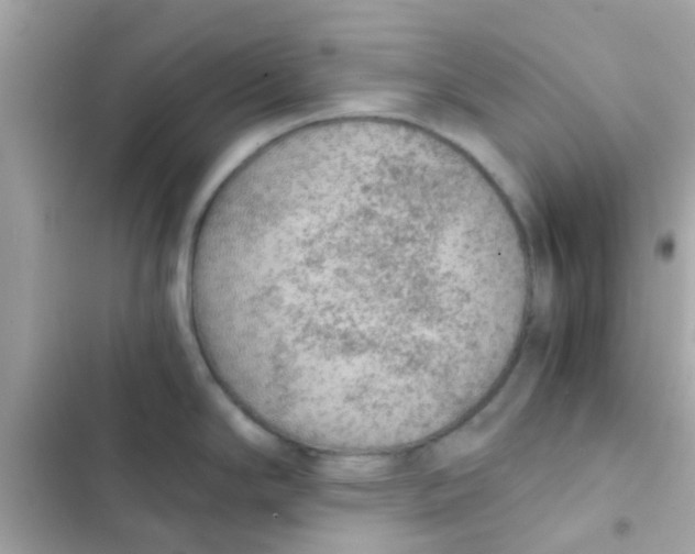 X0000103161294200809192045