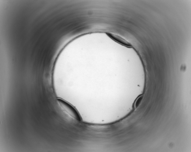 X0000103161296200809192045