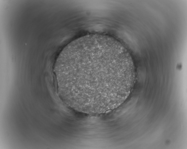 X0000103161297200809192044